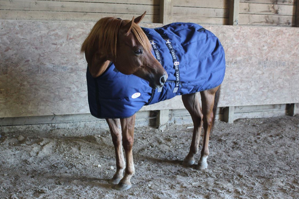 Derby Originals Nordic Tough Closed Front 1200D Water Resistant Reflective Winter Horse Stable Blanket 300g Heavy Weight 1 Year Warranty