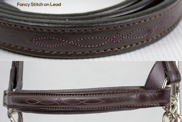 Derby Originals Premium Raised Padded Fancy Stitch Leather Cattle Show Halter with Matching Chain Lead  - One Year Limited Manufacturer’s Warranty