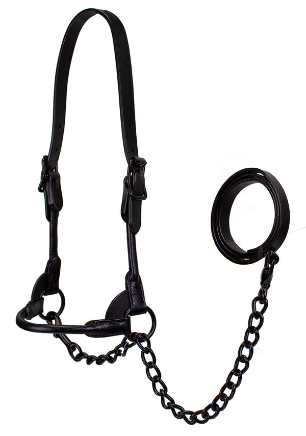 Derby Midnight All Black Premium Round Rolled Leather Cattle Show Halter with Matching Chain Lead  - One Year Limited Manufacturer’s Warranty