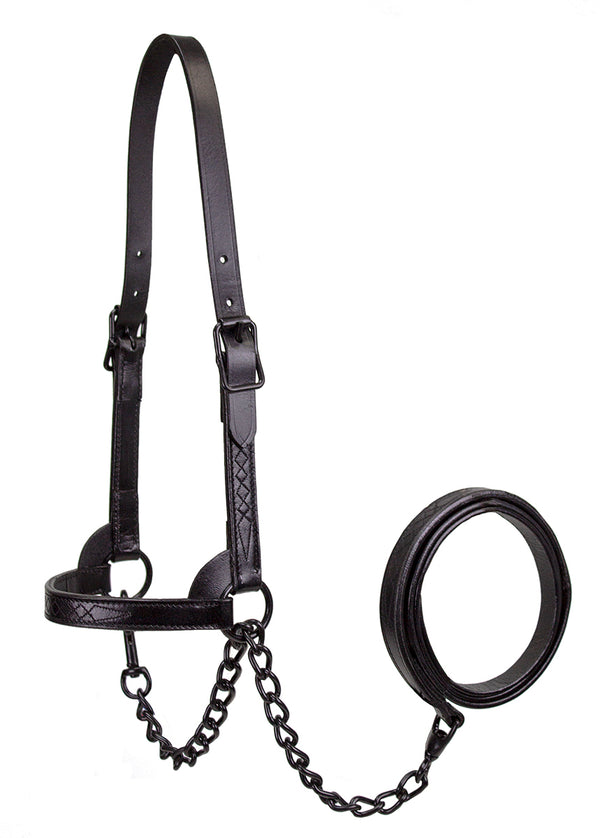 Derby Midnight All Black Premium Flat Fancy Stitch Leather Cattle Show Halter with Matching Chain Lead  - One Year Limited Manufacturer’s Warranty