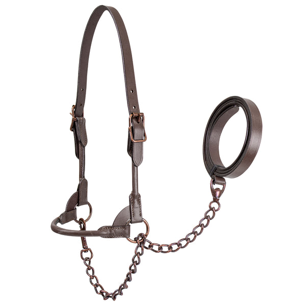 Derby Originals New and Improved Premium Round Rolled Leather Cattle Show Halter with Matching Chain Lead  - One Year Limited Manufacturer’s Warranty