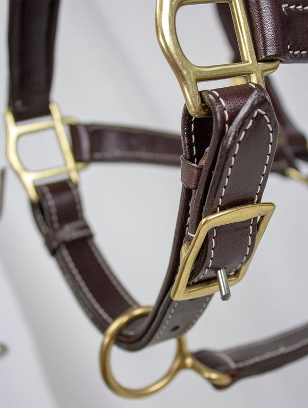 American Elite Fancy Stitch Padded Adjustable Halters