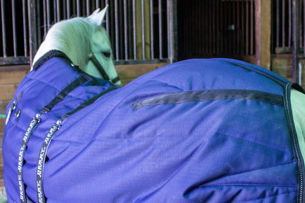 Derby Originals Nordic Tough West Coast 420D Reflective Winter Horse Stable  Blanket 200g Medium Weight