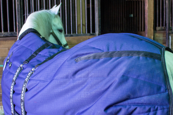 Derby Originals Nordic Tough Closed Front 1200D  Reflective Winter Horse Stable Blanket 300g Heavy Weight 1 Year Warranty