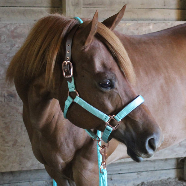 Derby Originals Desert Rose Collection Rose Gold Reflective Safety Flex-Webb Horse Halters with Matching Lead Ropes