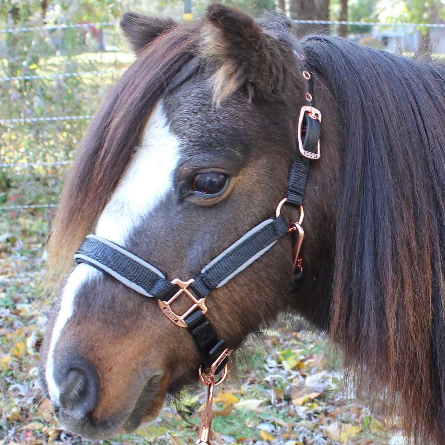 Derby Originals Mini Horse Reflective Safety Stable Horse Halters 