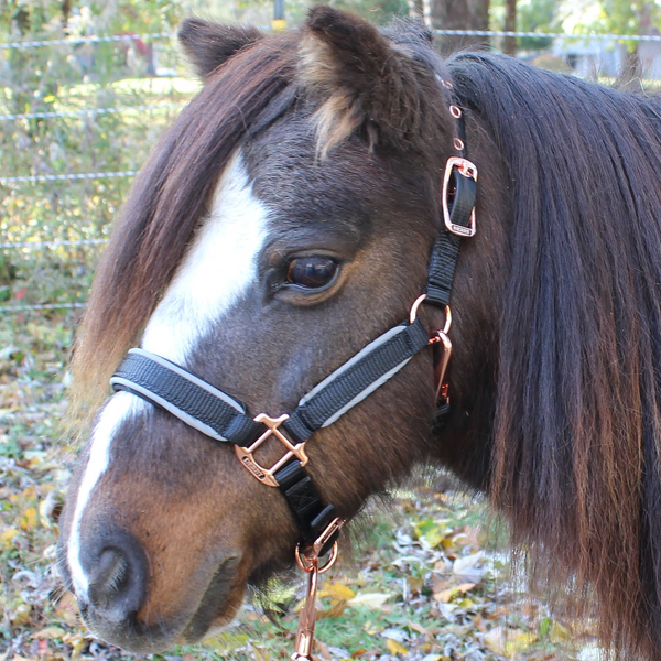 Derby Originals Desert Rose Collection Rose Gold Reflective Safety Flex-Webb Horse Halters with Matching Lead Ropes