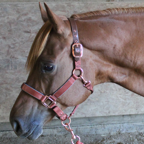 Derby Originals Desert Rose Collection Rose Gold Reflective Safety Flex-Webb Horse Halters with Matching Lead Ropes