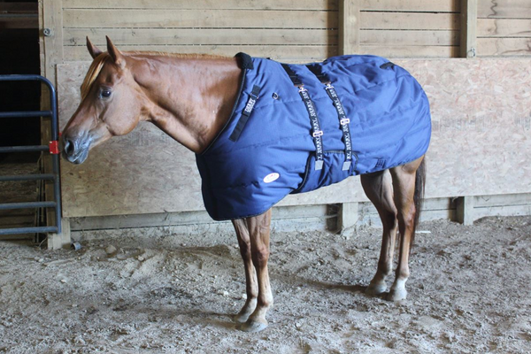 Derby Originals Nordic Tough Closed Front 1200D Water Resistant Reflective Winter Horse Stable Blanket 300g Heavy Weight 1 Year Warranty