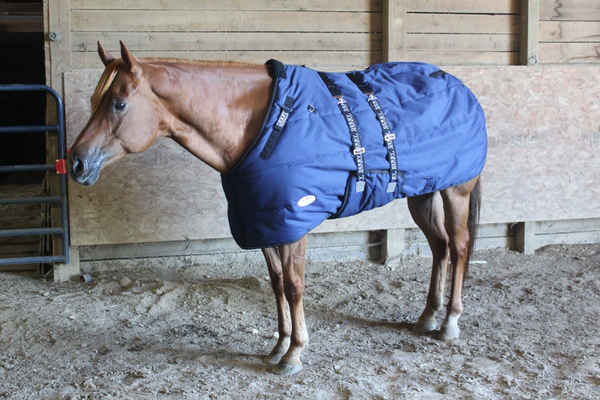 Derby Originals Nordic Tough Closed Front 1200D  Reflective Winter Horse Stable Blanket 300g Heavy Weight 1 Year Warranty