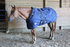 products/6Winter_Horse_Stable_Blanket_1200D_Lifestyle_1_Navy_Blue_80-8031V2.png