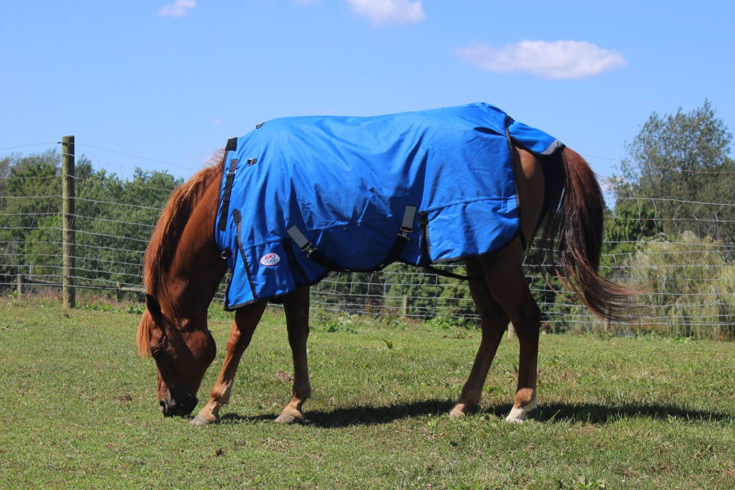 Ripstop Waterproof Reflective Winter Horse Turnout Blanket 