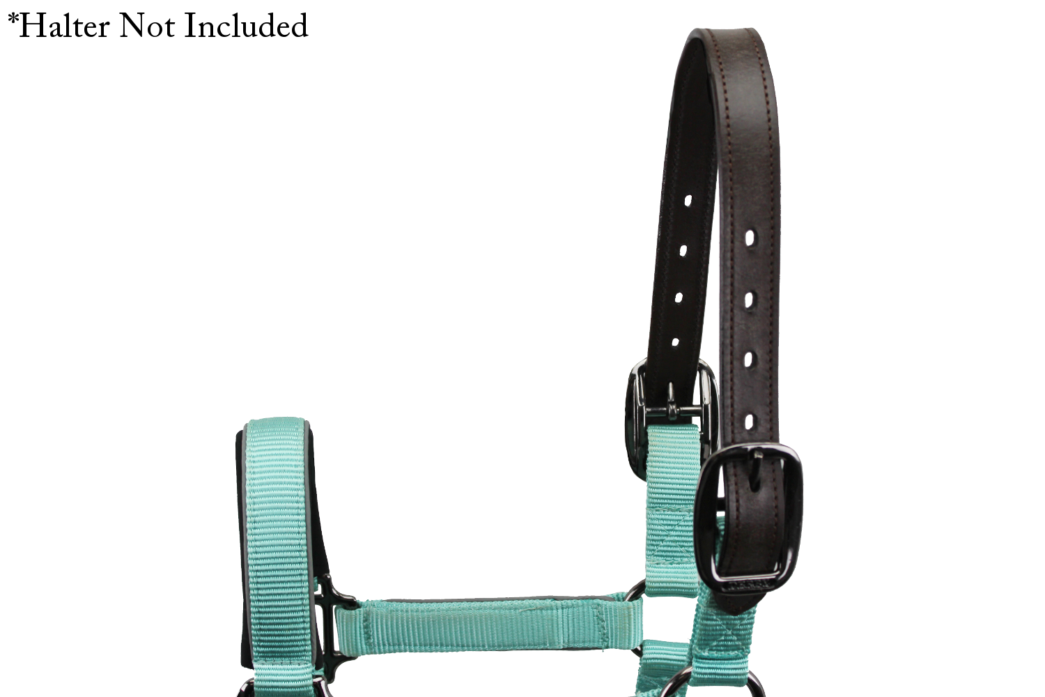Double Stitched Leather Breakaway Halter 