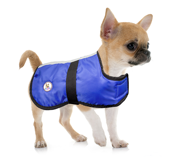 Lightweight Water Repellent Dog Coat Reversible Reflective by cuteNfuz ...