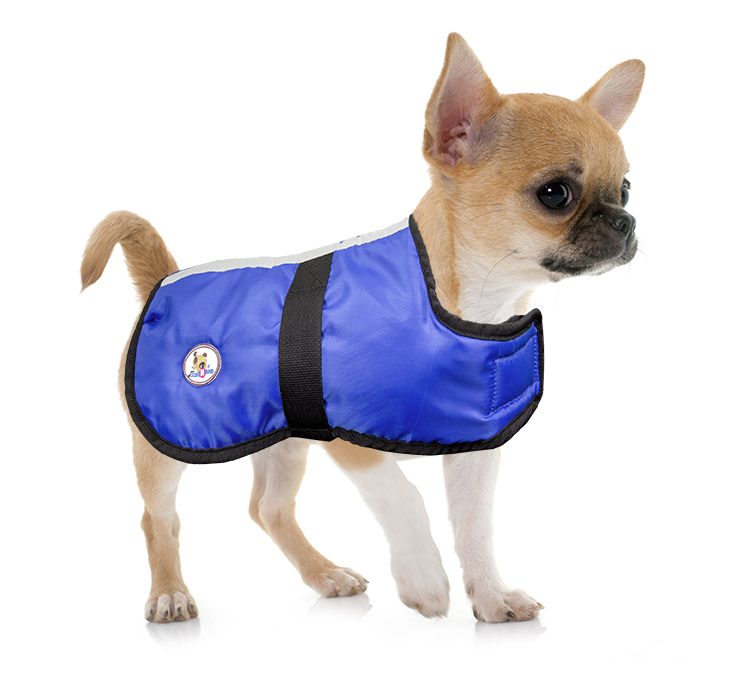 Lightweight Water Repellent Dog Coat Reversible Reflective