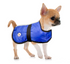 products/80-8064_Chihuahua.png