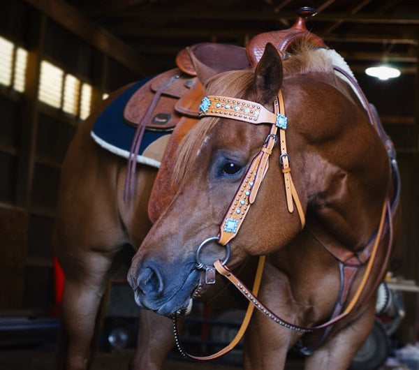 Tahoe Tack Turquoise Spotted Show Western Leather Browband Headstall with Matching Split Reins