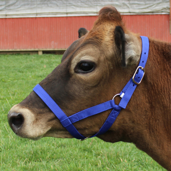 Derby Originals Adjustable Nylon Livestock Cattle Halters