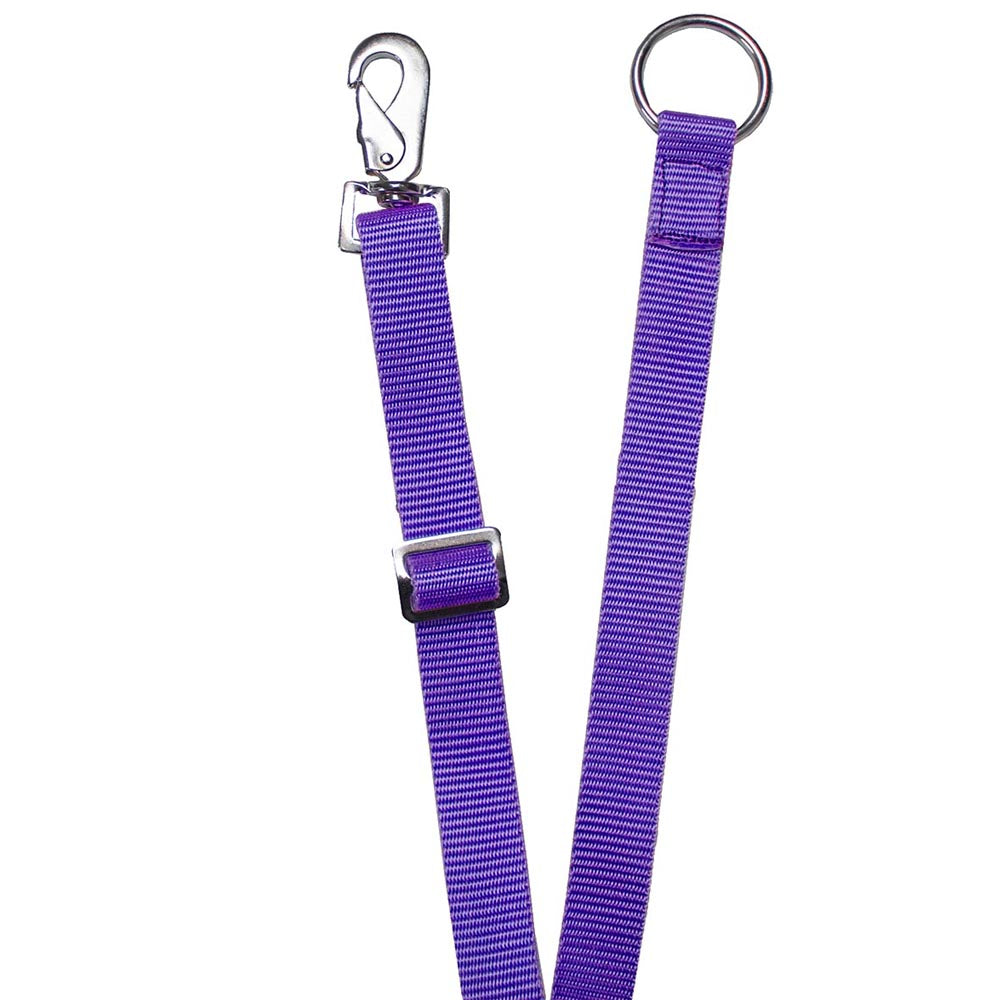 Derby Originals Pack of 2 Horse Water Bucket Strap Hangers Main purple color