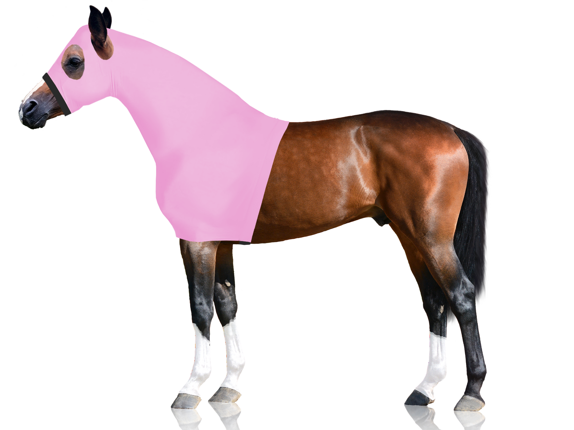 Derby Originals Comfy Stretch Lycra Sleazy Slicker Hood Neck Cover with Zipper soft pink