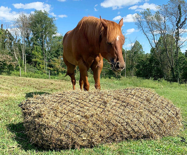 Derby Originals 90” Giant Slow Feed Hanging Hay Net for Horses