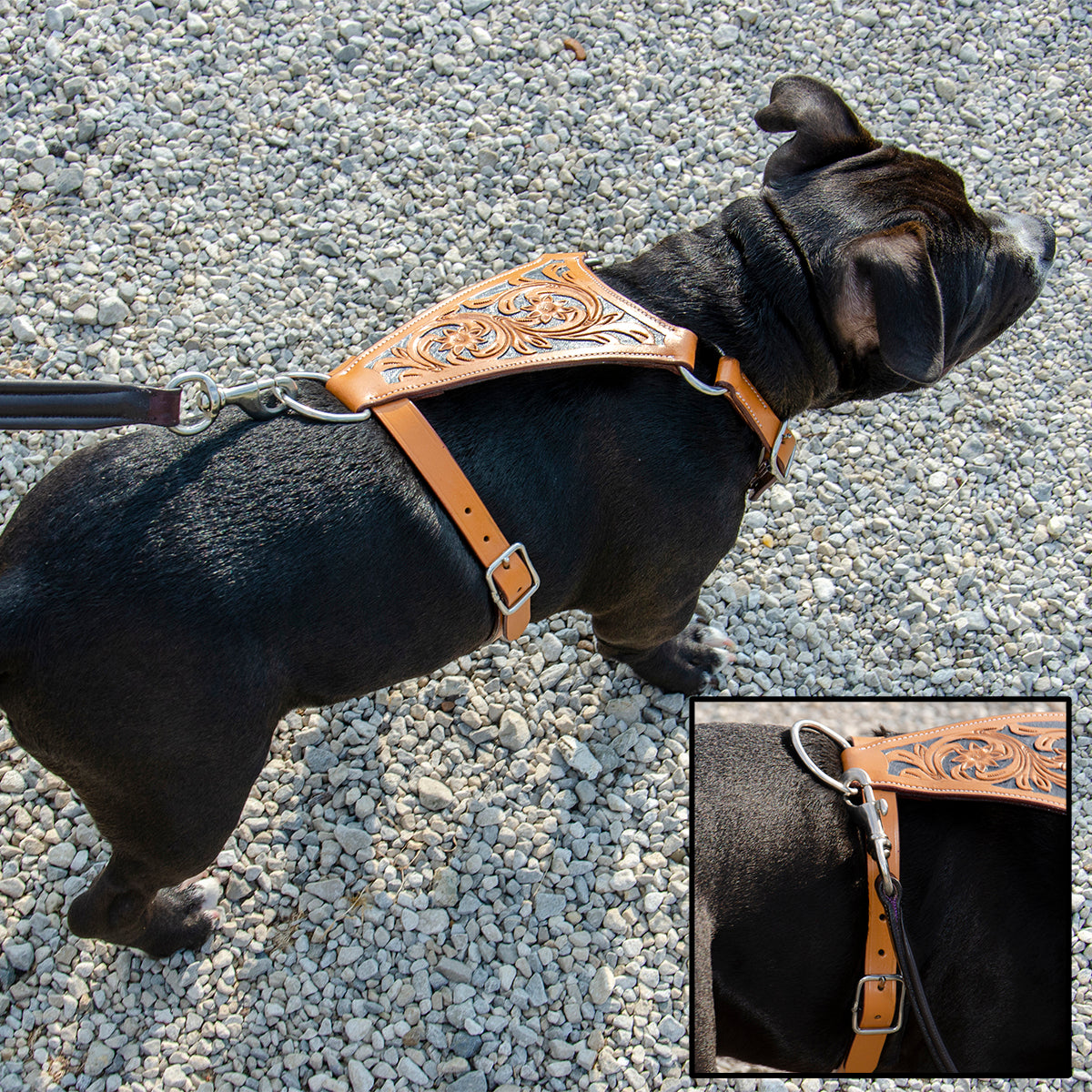 Premium Floral Tooled Gaucho Leather Padded Dog Pulling Harness  Banner Image