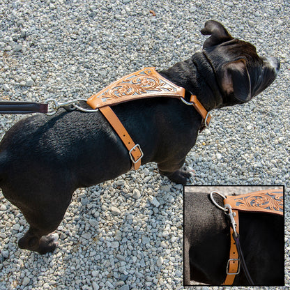 Premium Floral Tooled Gaucho Leather Padded Dog Pulling Harness  Banner Image