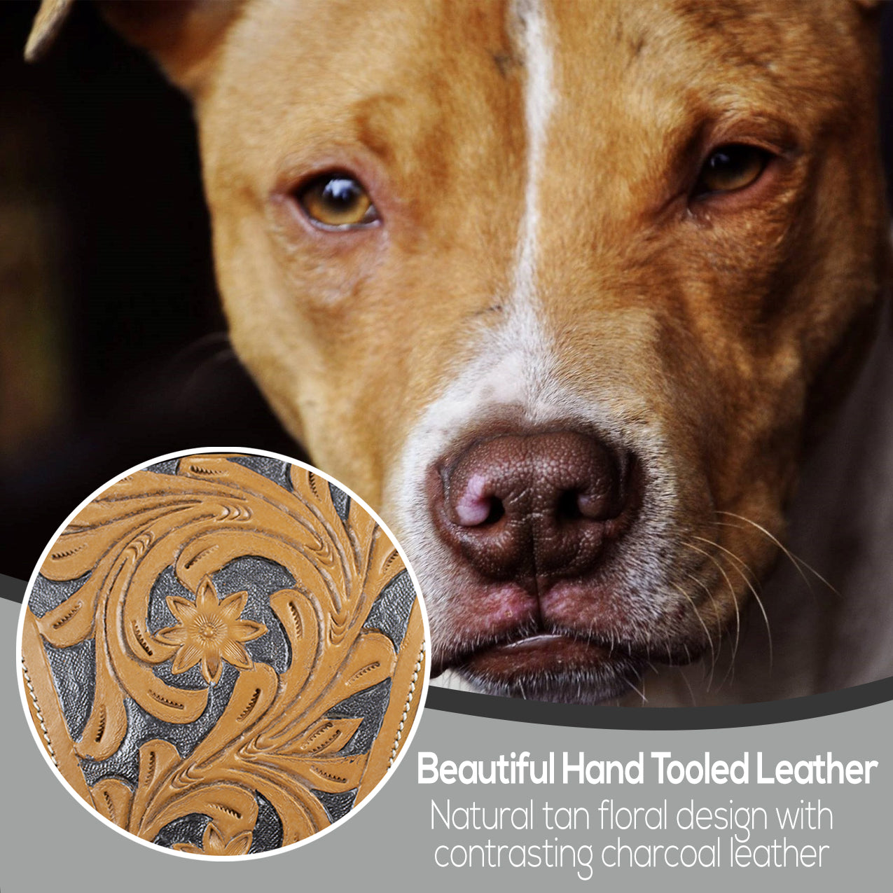 Premium Floral Tooled Gaucho Leather Padded Dog Pulling Harness Floral Design