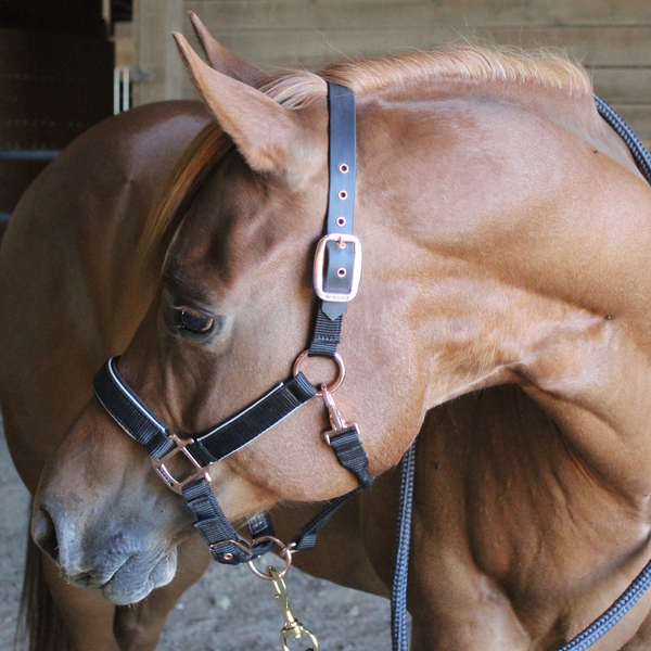 Derby Originals Desert Rose Collection Rose Gold Reflective Safety Flex-Webb Horse Halters with Matching Lead Ropes