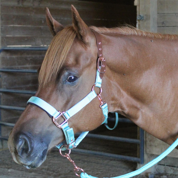 Derby Originals Desert Rose Collection Rose Gold Reflective Safety Flex-Webb Horse Halters with Matching Lead Ropes