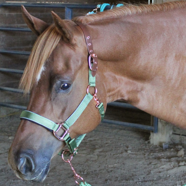 Derby Originals Desert Rose Collection Rose Gold Reflective Safety Flex-Webb Horse Halters with Matching Lead Ropes