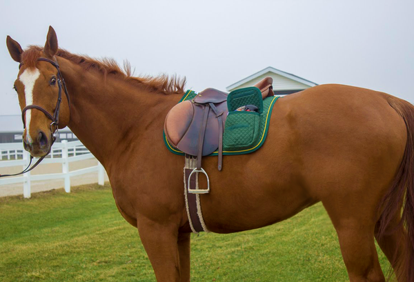 Derby Originals All Purpose Half Fleece-lined English Saddle Pad with Velcro Close Pockets