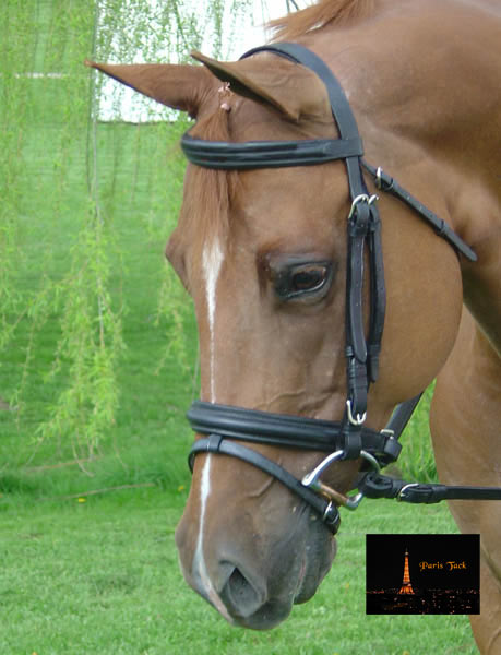 Paris Tack Dressage Crank Bridle with Flash and Rubber Reins