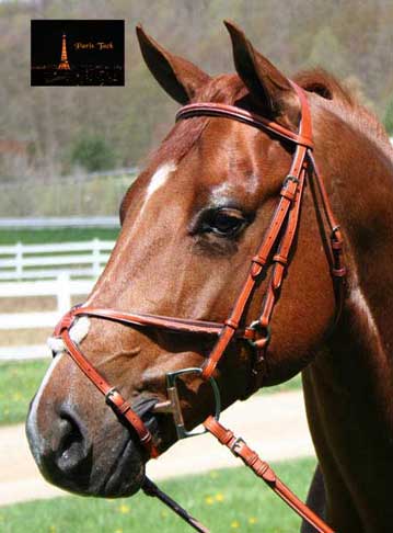 Paris Tack Raised Fancy Stitch Figure 8 Bridle w/ Laced Reins