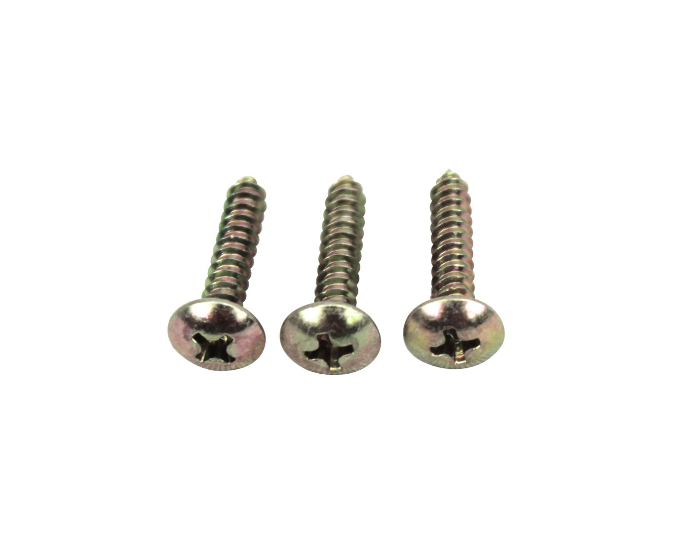 Derby Bridle Holders Brackets Vinyl Covered Screw