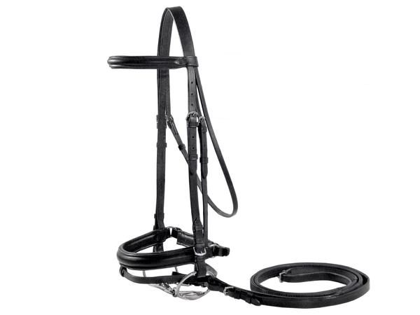 Paris Tack Dressage Crank Bridle with Flash and Rubber Reins