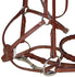 products/Bridle_Paris_Tack_Figure_8_Nose_L.jpg