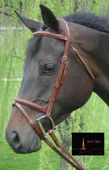 Paris Tack Square Raised Fancy Stitched Leather English Bridle with Removable Flash and Laced Reins