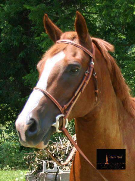 Paris Tack Raised Fancy Stitch Leather English Schooling Bridle 