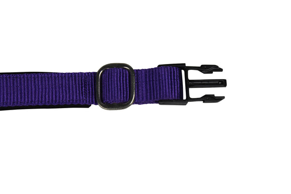 cuteNfuzzy® Adjustable Padded Dog Collar