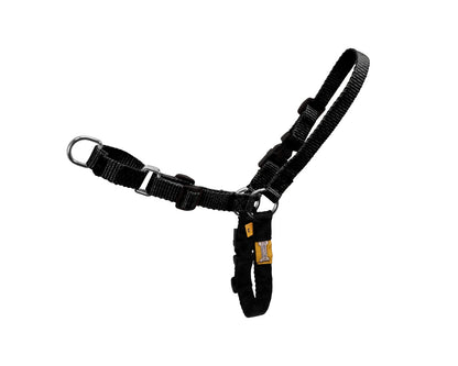 Comfort Walk Dog Harness by  cuteNfuzzyÂ® Black Image