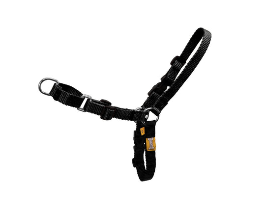 Comfort Walk Dog Harness by  cuteNfuzzyÂ® Black Image