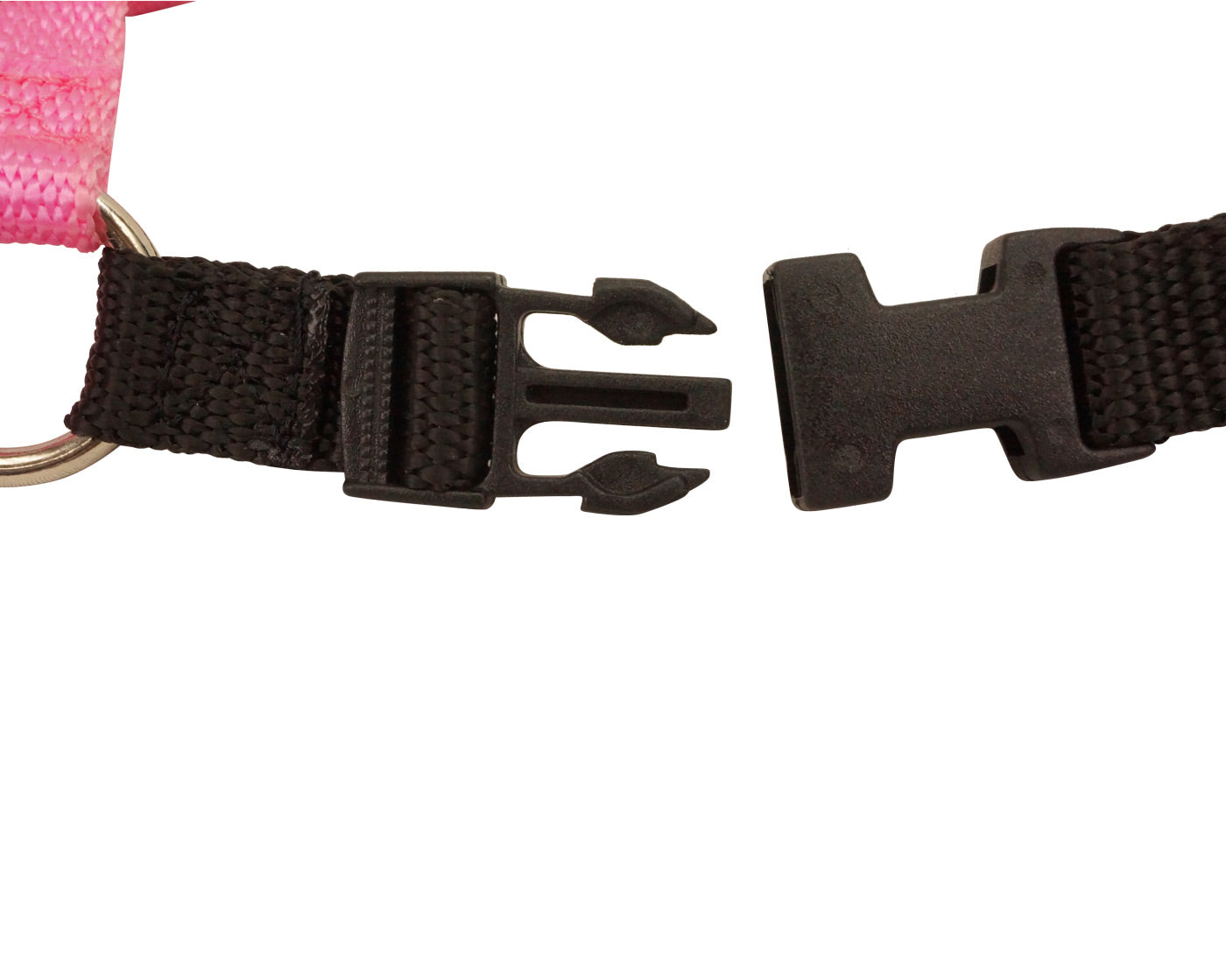 Comfort Walk Dog Harness Buckle