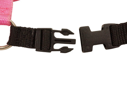 Comfort Walk Dog Harness Buckle