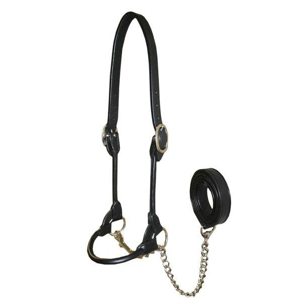 Derby Originals New and Improved Premium Round Rolled Leather Cattle Show Halter with Matching Chain Lead  - One Year Limited Manufacturer’s Warranty