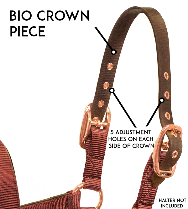 Derby Originals Safety Flex-Webb Replacement Bio Crown Piece for Breakaway Horse Halters