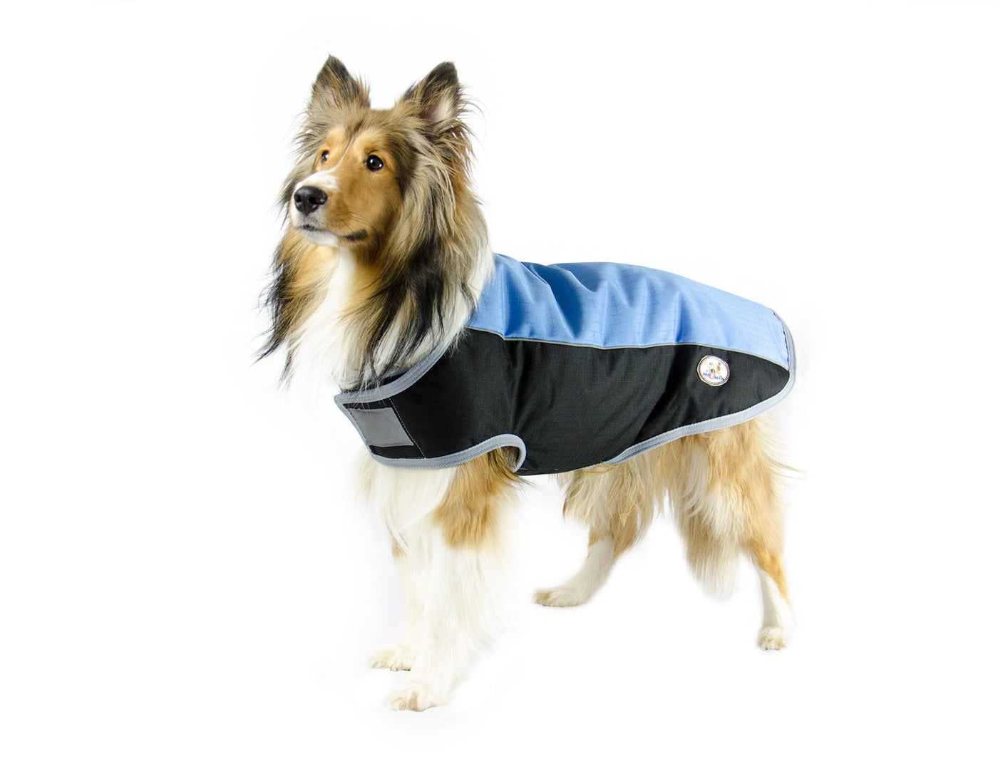 Comfort Fit Classic 600D Winter Dog Coat 