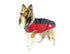 products/CuteNfuzzy_Comfort_Fit_Reflective_600D_Winter-Dog-Coat_Red_Main_8056.jpg