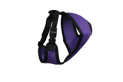 Comfort Mesh Dog Harness by cuteNfuzzyÂ® Purple