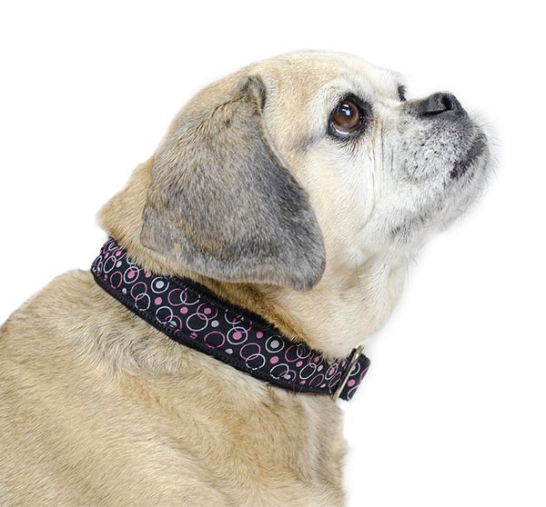 cuteNfuzzyÂ® Padded Adjustable Dog Collar with Overlay Warranty